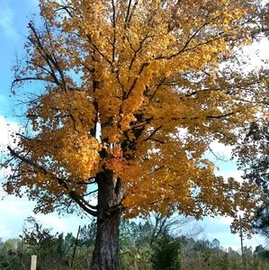 Meet your Posher, Richard